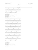 PEPTIDES AND COMPOSITIONS FOR TREATMENT OF JOINT DAMAGE diagram and image