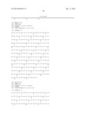 PEPTIDES AND COMPOSITIONS FOR TREATMENT OF JOINT DAMAGE diagram and image