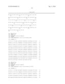 PEPTIDES AND COMPOSITIONS FOR TREATMENT OF JOINT DAMAGE diagram and image