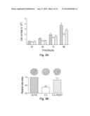 MULTI-LEU PEPTIDES AND ANALOGUES THEREOF AS SELECTIVE PACE4 INHIBITORS AND     EFFECTIVE ANTIPROLIFERATIVE AGENTS diagram and image