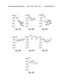 MULTI-LEU PEPTIDES AND ANALOGUES THEREOF AS SELECTIVE PACE4 INHIBITORS AND     EFFECTIVE ANTIPROLIFERATIVE AGENTS diagram and image