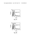 MULTI-LEU PEPTIDES AND ANALOGUES THEREOF AS SELECTIVE PACE4 INHIBITORS AND     EFFECTIVE ANTIPROLIFERATIVE AGENTS diagram and image