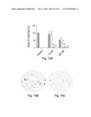 MULTI-LEU PEPTIDES AND ANALOGUES THEREOF AS SELECTIVE PACE4 INHIBITORS AND     EFFECTIVE ANTIPROLIFERATIVE AGENTS diagram and image