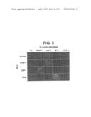 Polypeptides Involved In Immune Response diagram and image