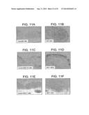 Polypeptides Involved In Immune Response diagram and image