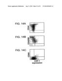 Polypeptides Involved In Immune Response diagram and image