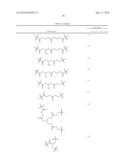 Antibiotic Conjugates diagram and image