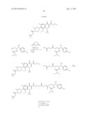 Antibiotic Conjugates diagram and image