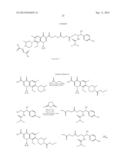 Antibiotic Conjugates diagram and image