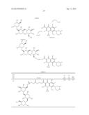 Antibiotic Conjugates diagram and image