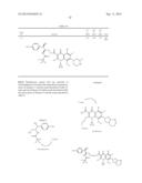 Antibiotic Conjugates diagram and image