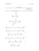 Steroid conjugates diagram and image