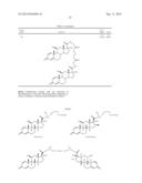 Steroid conjugates diagram and image