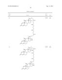 Steroid conjugates diagram and image