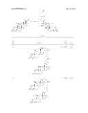 Steroid conjugates diagram and image