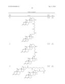 Steroid conjugates diagram and image