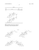 Steroid conjugates diagram and image