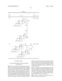 Steroid conjugates diagram and image