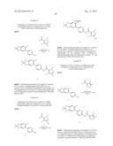 COMPOUNDS THAT MODULATE INTRACELLULAR CALCIUM diagram and image