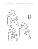 SITE SPECIFIC DELIVERY OF NUCLEIC ACIDS BY COMBINING TARGETING LIGANDS     WITH ENDOSOMOLYTIC COMPONENTS diagram and image