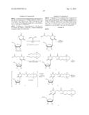 SITE SPECIFIC DELIVERY OF NUCLEIC ACIDS BY COMBINING TARGETING LIGANDS     WITH ENDOSOMOLYTIC COMPONENTS diagram and image