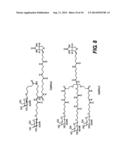 SITE SPECIFIC DELIVERY OF NUCLEIC ACIDS BY COMBINING TARGETING LIGANDS     WITH ENDOSOMOLYTIC COMPONENTS diagram and image