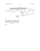 SITE SPECIFIC DELIVERY OF NUCLEIC ACIDS BY COMBINING TARGETING LIGANDS     WITH ENDOSOMOLYTIC COMPONENTS diagram and image