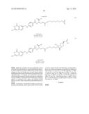 SITE SPECIFIC DELIVERY OF NUCLEIC ACIDS BY COMBINING TARGETING LIGANDS     WITH ENDOSOMOLYTIC COMPONENTS diagram and image