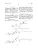 SITE SPECIFIC DELIVERY OF NUCLEIC ACIDS BY COMBINING TARGETING LIGANDS     WITH ENDOSOMOLYTIC COMPONENTS diagram and image