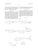 SITE SPECIFIC DELIVERY OF NUCLEIC ACIDS BY COMBINING TARGETING LIGANDS     WITH ENDOSOMOLYTIC COMPONENTS diagram and image