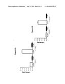 COMPOSITION AND METHODS FOR MODULATING CELL PROLIFERATION AND CELL DEATH diagram and image