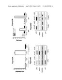 COMPOSITION AND METHODS FOR MODULATING CELL PROLIFERATION AND CELL DEATH diagram and image