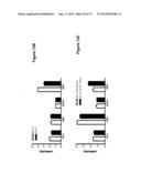 COMPOSITION AND METHODS FOR MODULATING CELL PROLIFERATION AND CELL DEATH diagram and image