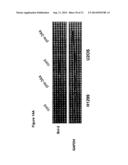 COMPOSITION AND METHODS FOR MODULATING CELL PROLIFERATION AND CELL DEATH diagram and image