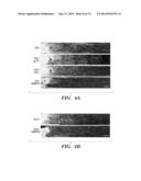 CO-ACTIVATION OF MTOR AND STAT3 PATHWAYS TO PROMOTE NEURONAL SURVIVAL AND     REGENERATION diagram and image