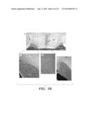 CO-ACTIVATION OF MTOR AND STAT3 PATHWAYS TO PROMOTE NEURONAL SURVIVAL AND     REGENERATION diagram and image