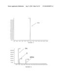 METHOD FOR SYNTHESIZING PROTEINS diagram and image