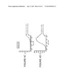 IMMUNO IMAGING AGENT FOR USE WITH ANTIBODY-DRUG CONJUGATE THERAPY diagram and image