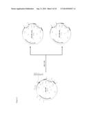 INCREASING THE LIPID CONTENT IN MICROALGAE BY GENETICALLY MANIPULATING A     TRIACYLGLYCEROL (TAG) LIPASE diagram and image