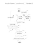 METHOD TO COMPUTE AND PRESENT BRAIN AMYLOID IN GRAY MATTER diagram and image