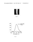 USE OF PHOTOSENSITIZER IN PREPARATION OF VIRUS-INACTIVATING MEDICAMENTS     FOR TREATING DISEASES diagram and image