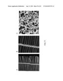 3-DIMENSIONAL LARGE CAPACITY CELL ENCAPSULATION DEVICE ASSEMBLY diagram and image