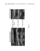 3-DIMENSIONAL LARGE CAPACITY CELL ENCAPSULATION DEVICE ASSEMBLY diagram and image