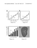 MULTI-FUNCTIONAL HYBRID DEVICES/STRUCTURES USING 3D PRINTING diagram and image