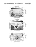 SYSTEM AND METHOD FOR ESTIMATING UNCERTAINTY FOR GEOPHYSICAL GRIDDING     ROUTINES LACKING INHERENT UNCERTAINTY ESTIMATION diagram and image