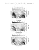 SYSTEM AND METHOD FOR ESTIMATING UNCERTAINTY FOR GEOPHYSICAL GRIDDING     ROUTINES LACKING INHERENT UNCERTAINTY ESTIMATION diagram and image