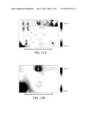 Real-Time Modeling of Heat Distributions diagram and image