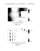 Real-Time Modeling of Heat Distributions diagram and image