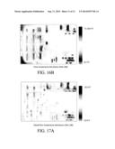 Real-Time Modeling of Heat Distributions diagram and image