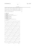 HPPD VARIANTS AND METHODS OF USE diagram and image